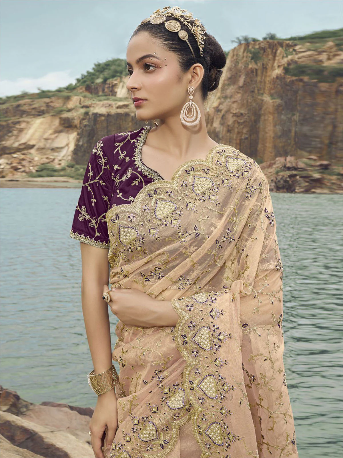Odette Beige Embroidered Net Saree With Unstitched Blouse For Women - Image 2