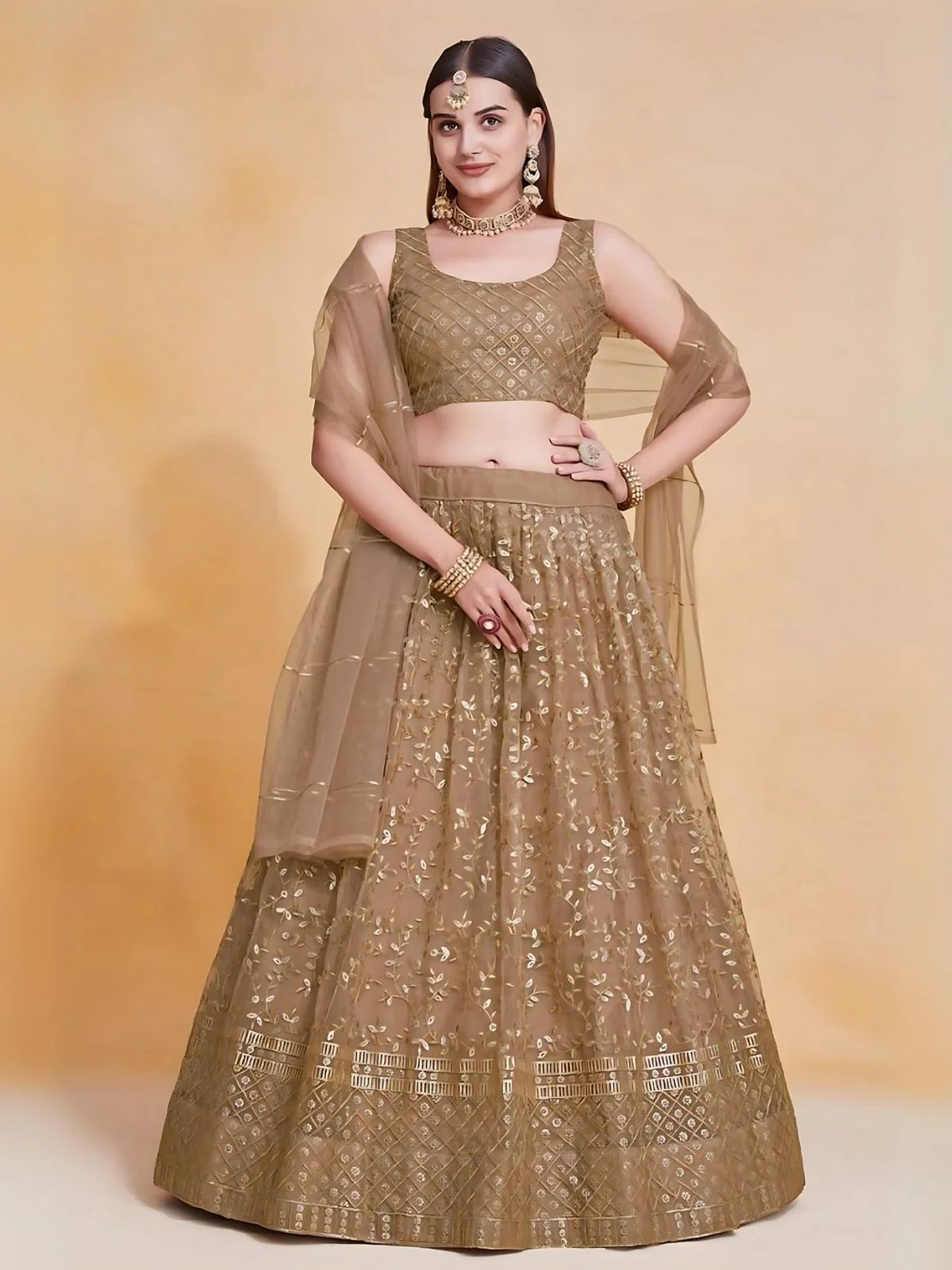 Odette Brown Net Embroidered Semi-Stitched Lehenga For Women