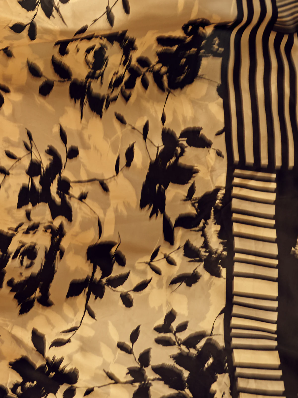 Odette Cream Digital Printed Saree For Women - Image 4