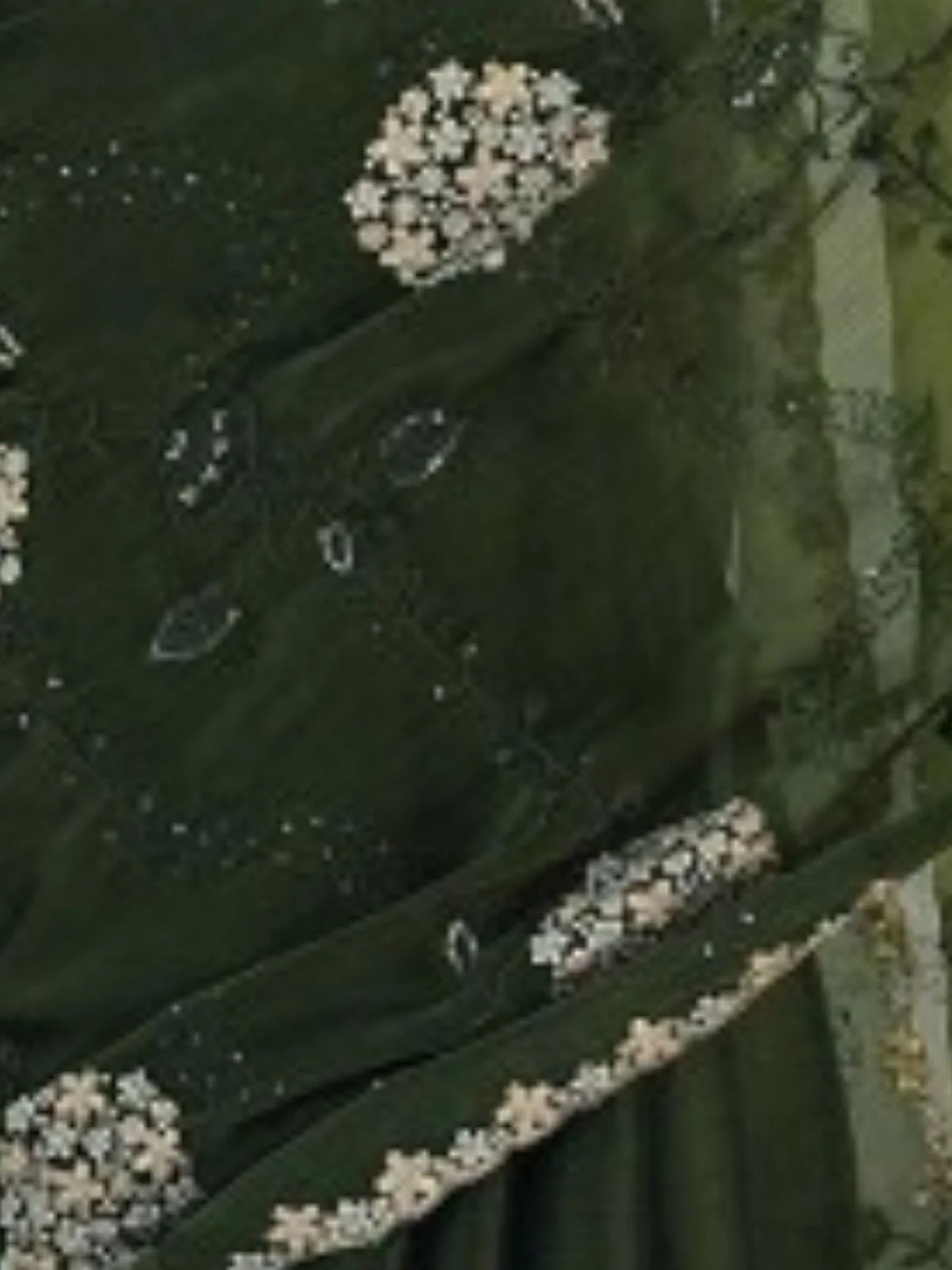 Odette Deep Green Organza Embroidered Solid Saree For Women - Image 5