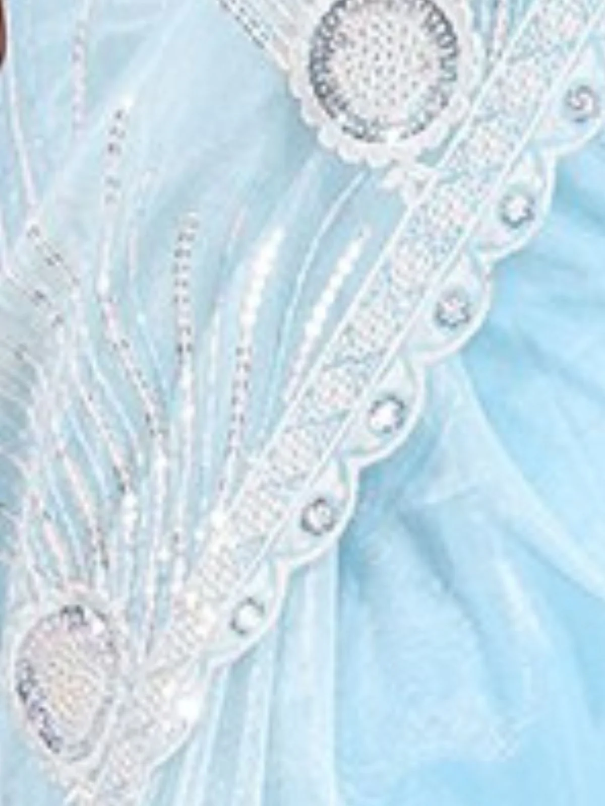 Odette Sky Blue Organza Embroidered Saree For Women - Image 4